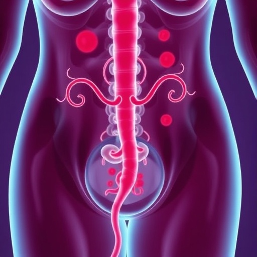 The Complete Guide to Urine Infections